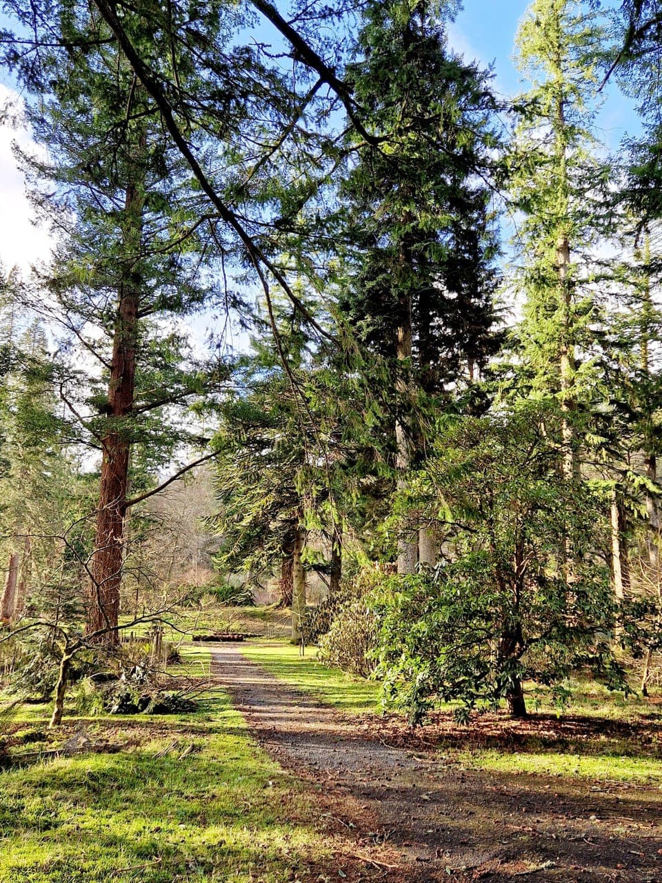 Benmore Botanical Gardens, near Dunoon.
