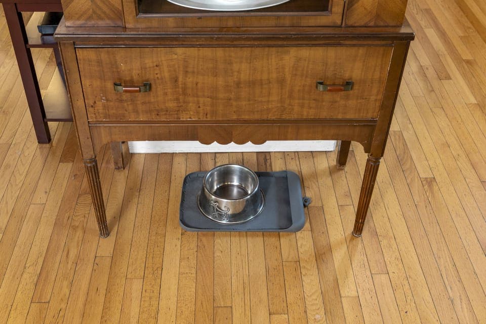 Well-mannered dogs are always welcome at Moondance!