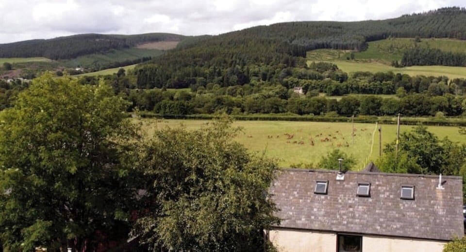 View of the hills and deer in the field