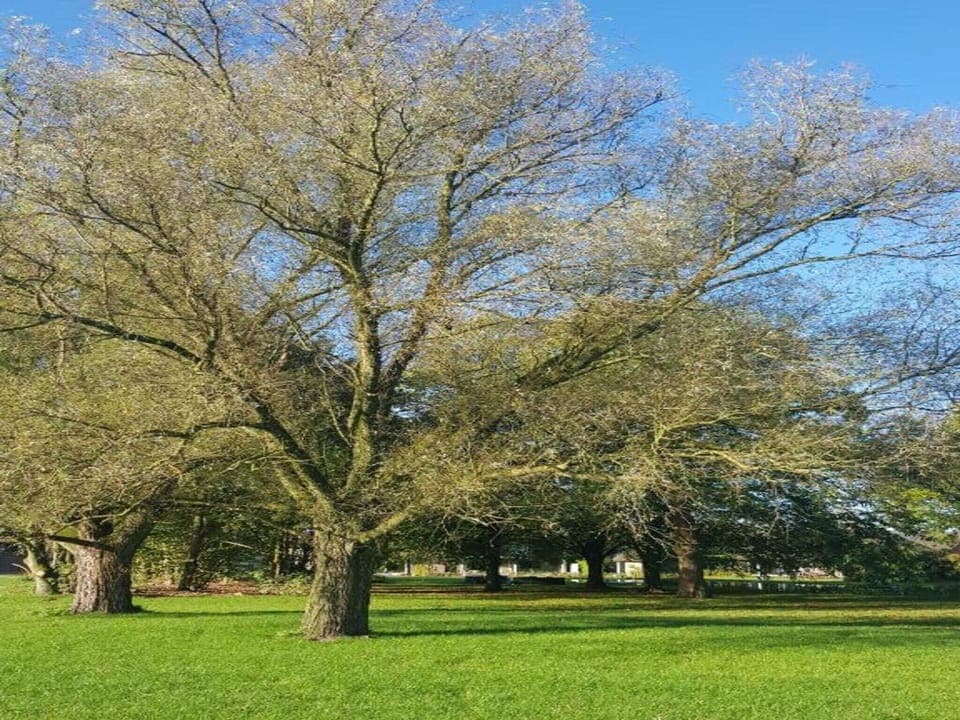 Region [summer] (>5 km)