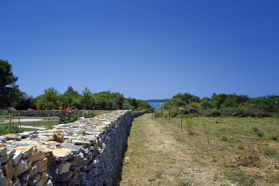 View from Holiday Home [summer]