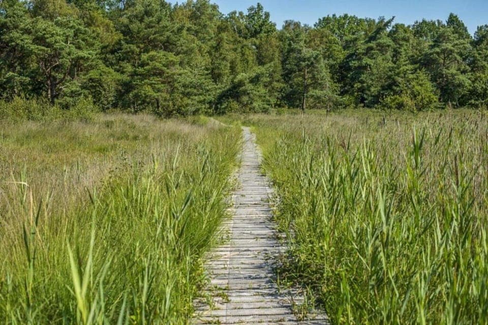 Region [summer] (>5 km)