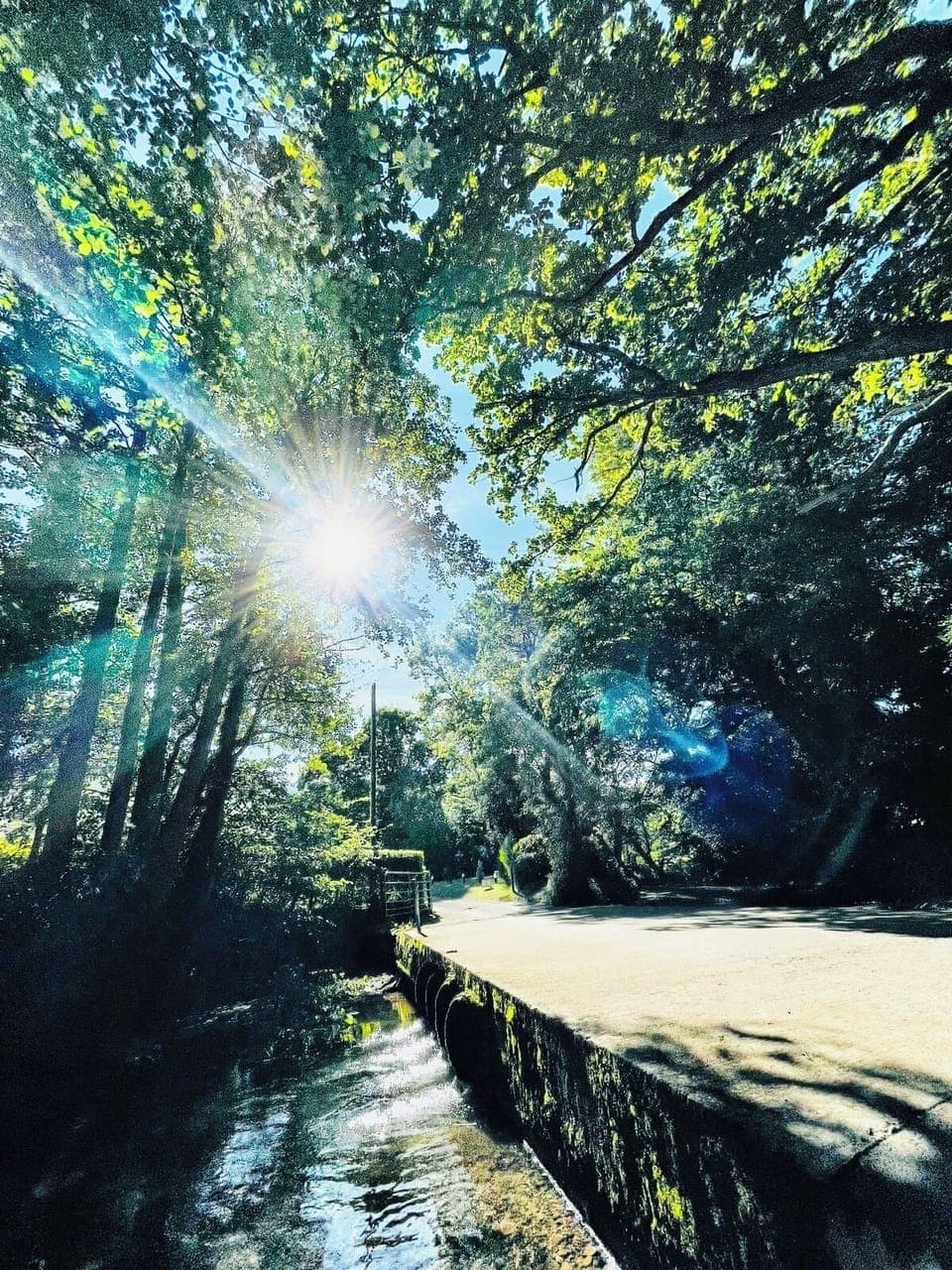 Entering ‘ Cayo ~ retreat ‘ 