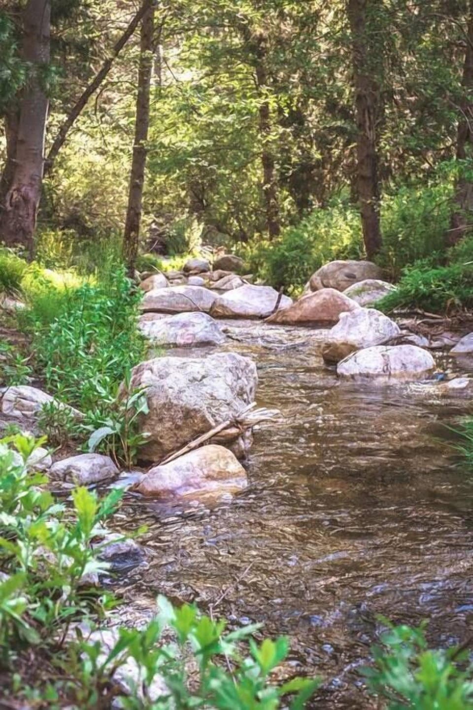A view of historic Strawberry Creek from your private sitting area. (Please note: the creek is seasonal, message us for real time updates.)