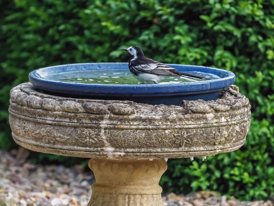 Garden | The Cottage Barn, Burgate, near Diss