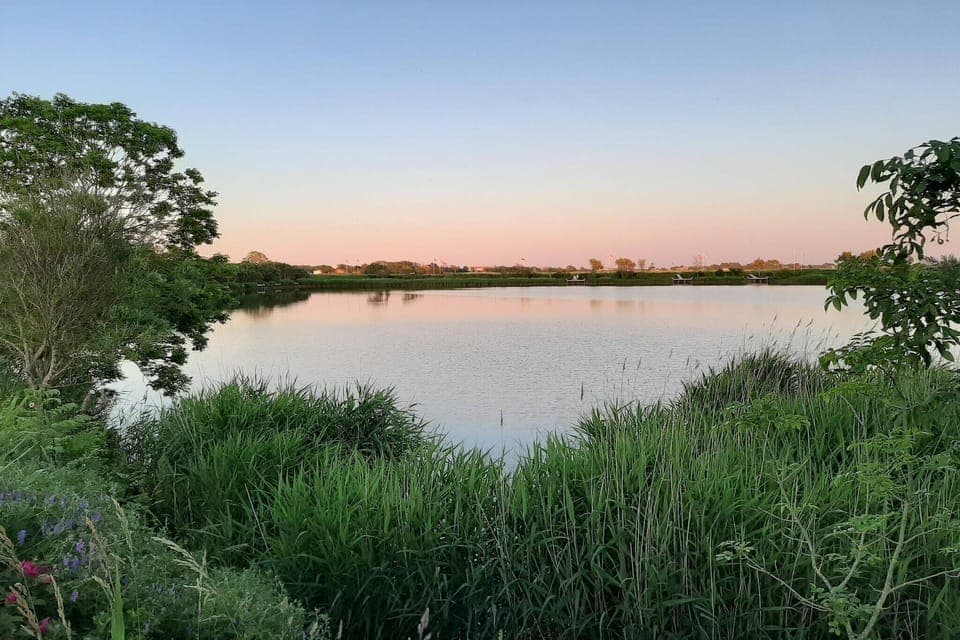 Immediate Surroundings [summer] (<1 km)