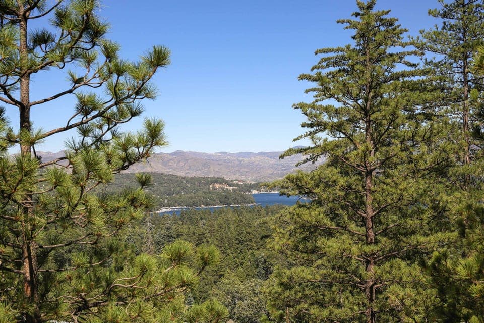 Lake Arrowhead Views | Private Decks | Gas Grill (Propane Provided)