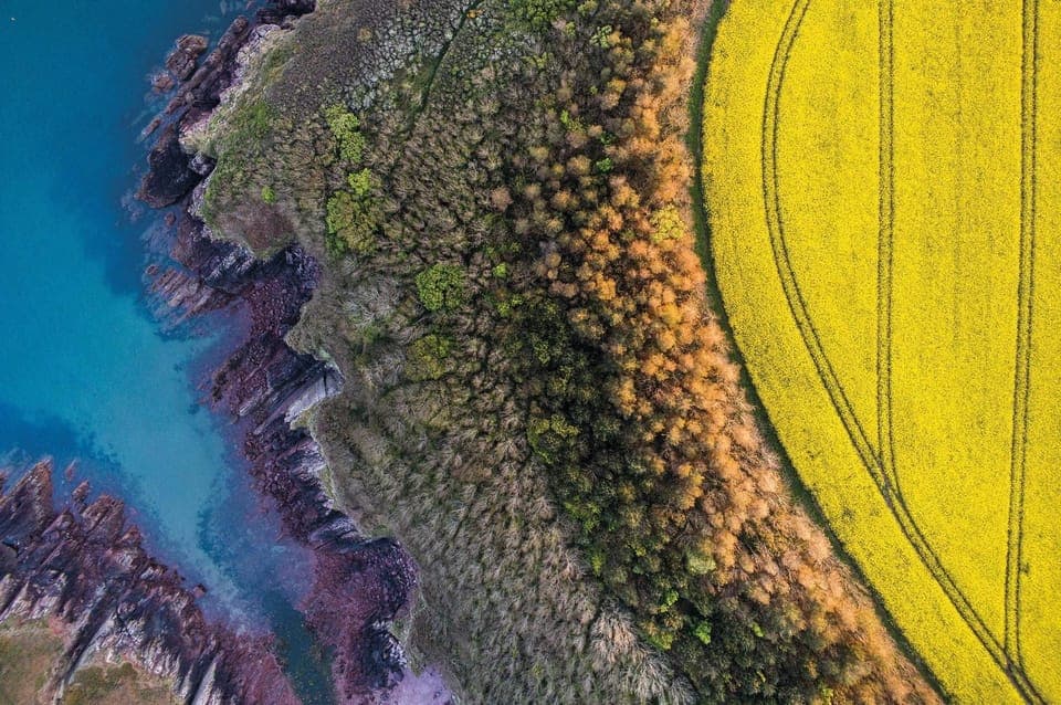 Caradog - 1 Bedroom - St Ishmael's (21152)