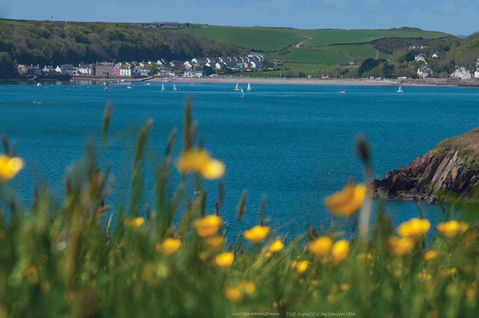 Ysfael - 1 Bedroom - St Ishmael's (16925)