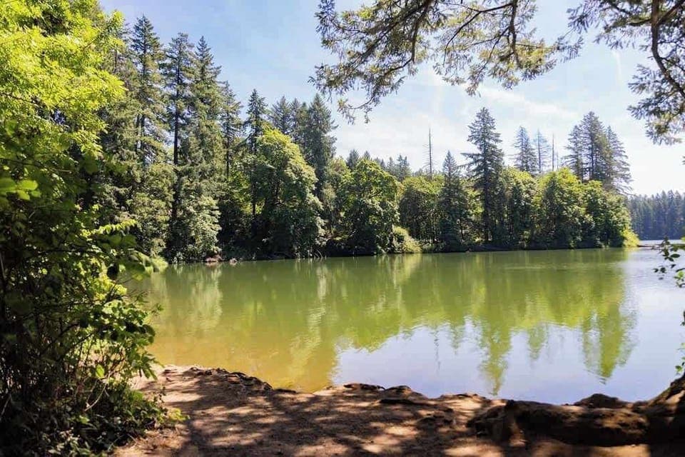 Soak up the beauty with the many miles of walking trails around the lake. 