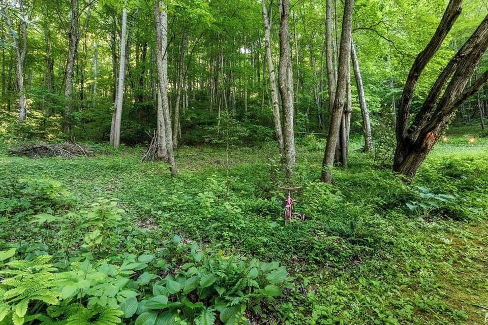 Pisgah Park Hideaway --- your views!