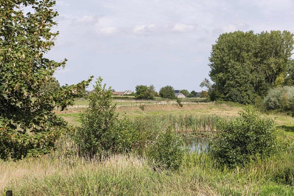 Beautiful domain with fenced pond