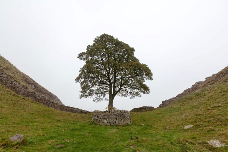 Hadrian's Wall - Sycamore Gap