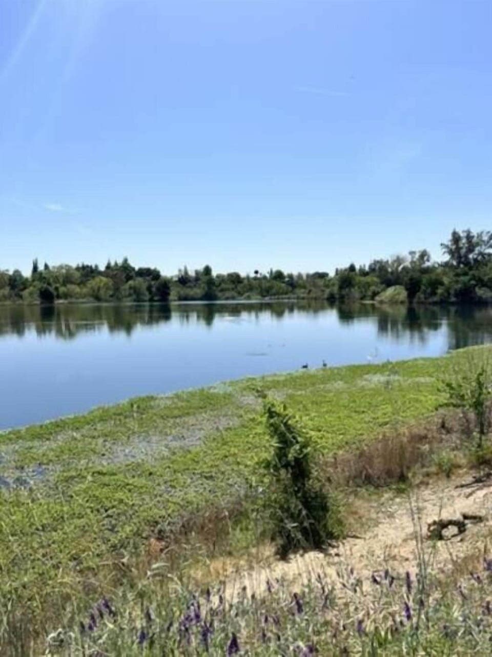 We are near American River and plenty of hiking spots!