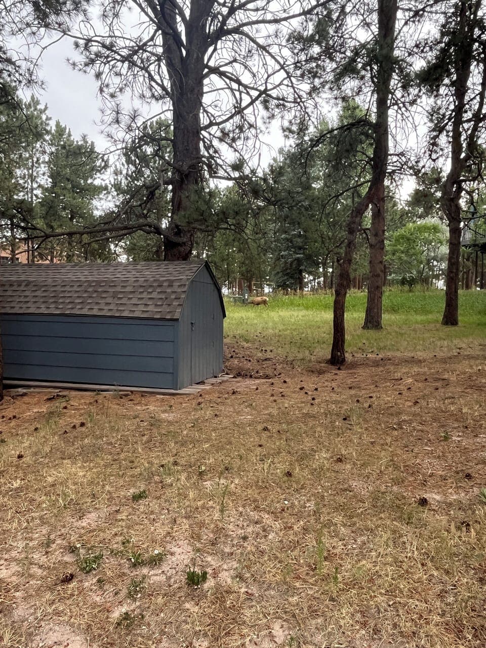 Property grounds