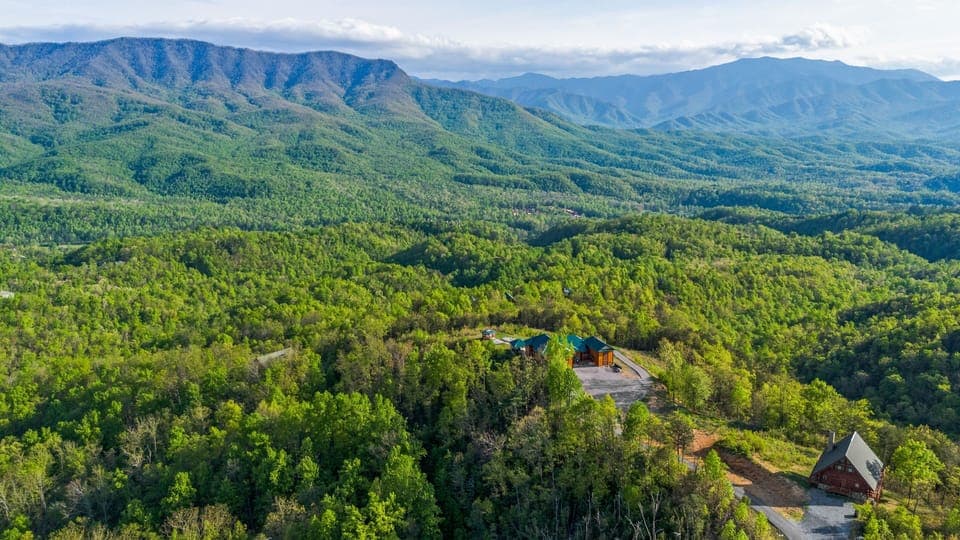 Vegetation, Land, Nature, Outdoors, Tree