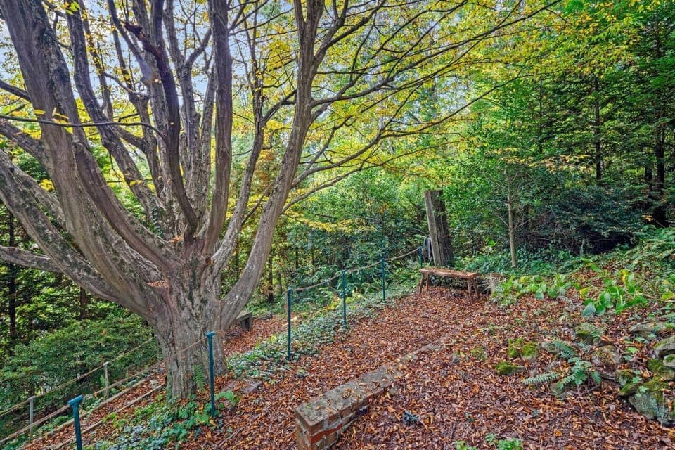 Enjoy the breeze as the leaves crunch beneath your feet