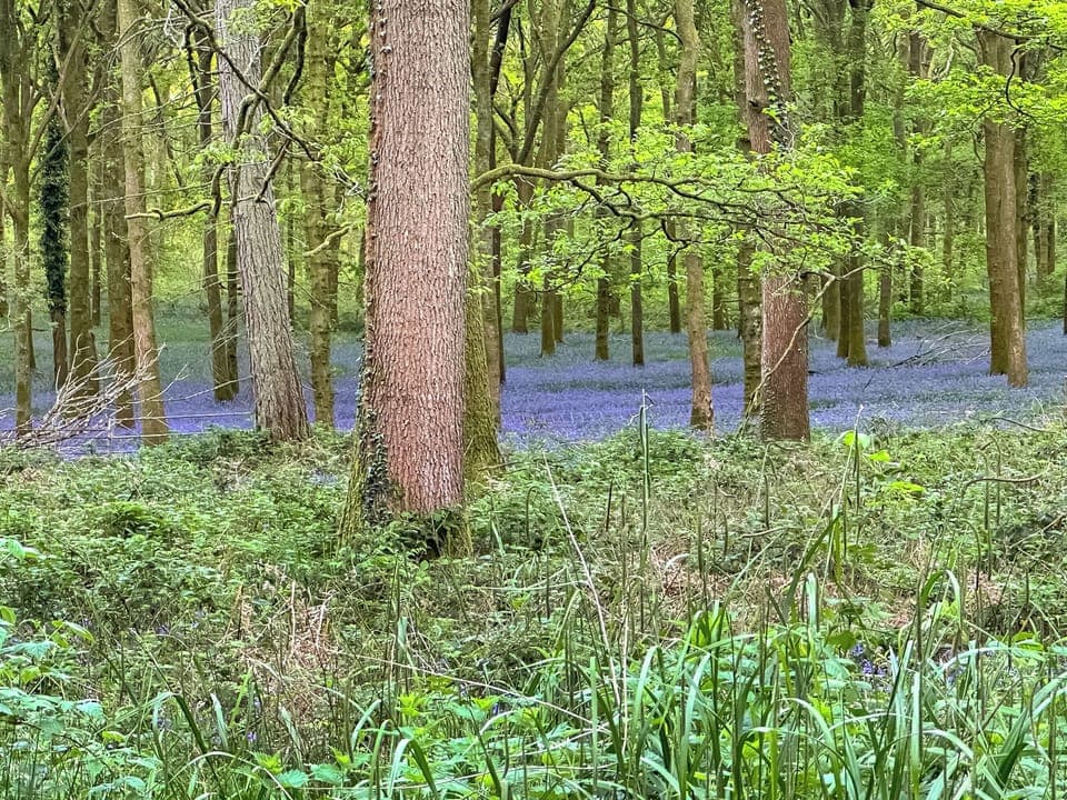 Surrounding area | Holly Cottage, Coleford