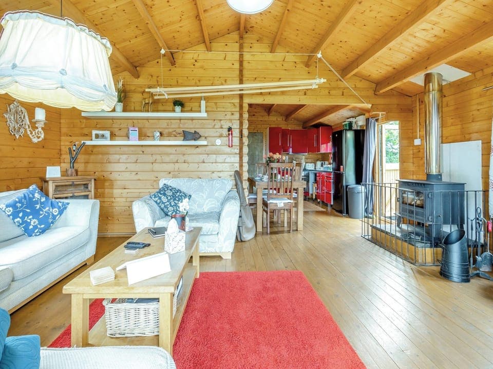 Open plan living space | The Cabin Cefn Mawr, Cefn Mawr, near Newtown