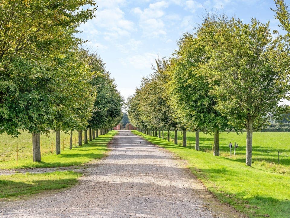 Driveway | The Old Dairy, Wimborne
