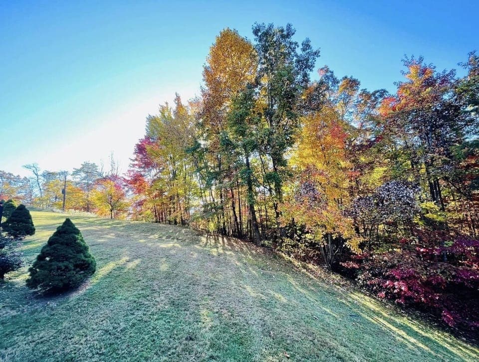 Fall in the Beautiful Smoky Mountains!