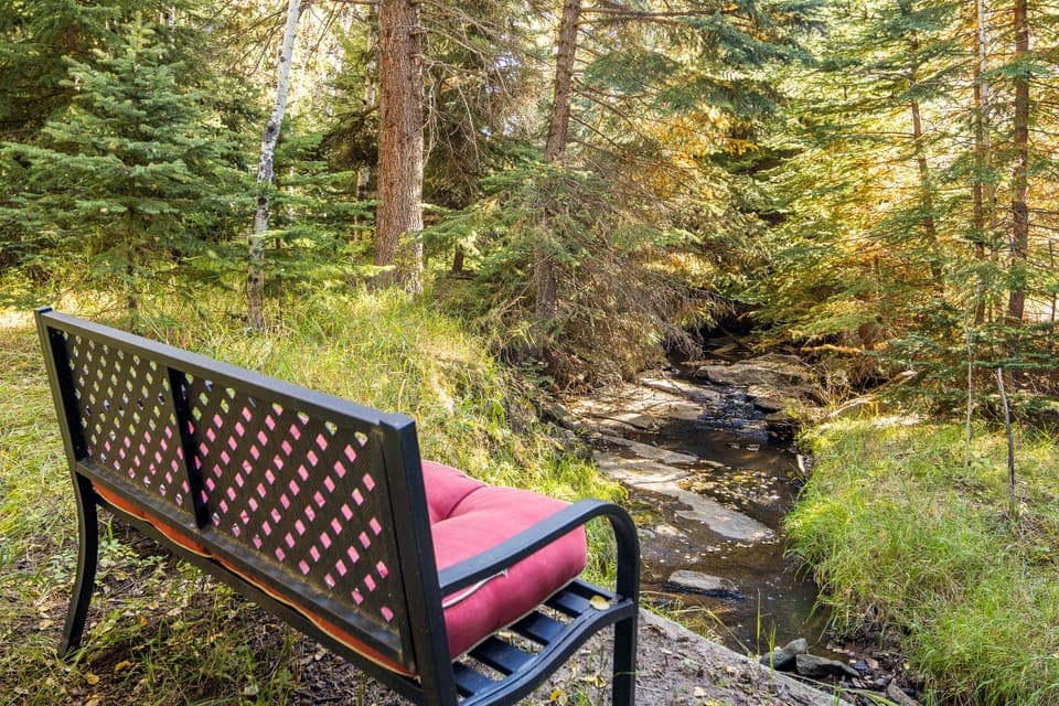 Buffalo creek seat