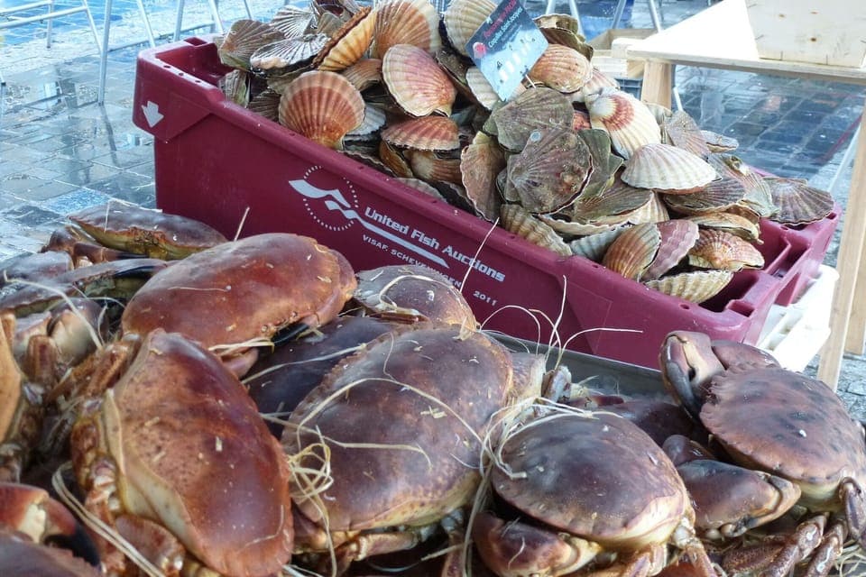 Surroundings [summer] (1-5 km)