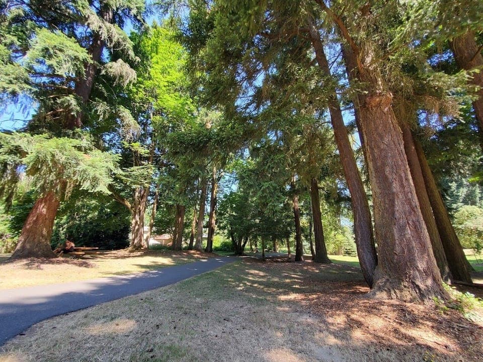 Backyard - Neighbors Park 