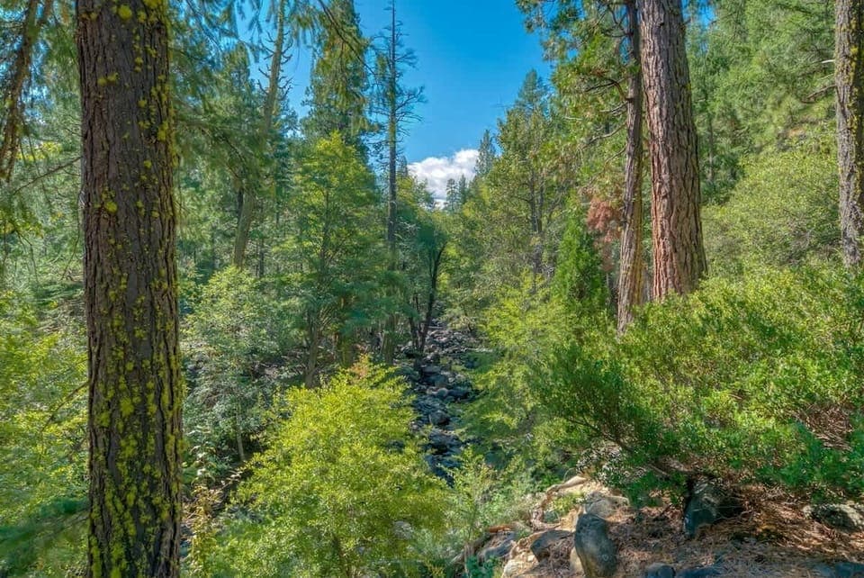 Frazier Creek behind this home