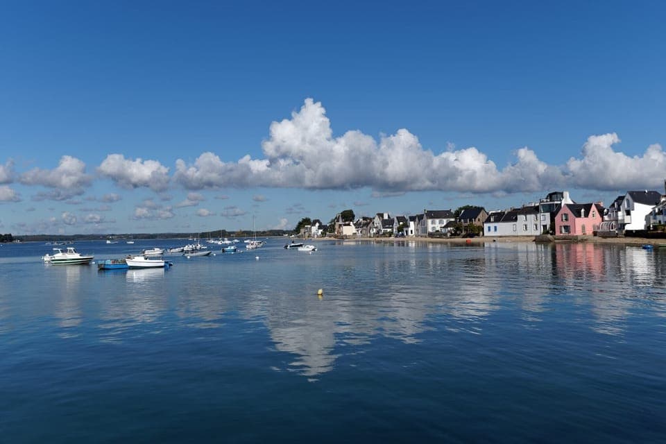 Region [summer] (>5 km)