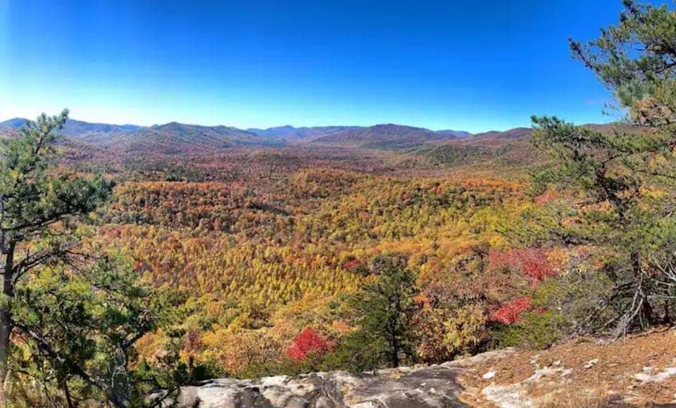Nothing quite like Pisgah in the Fall