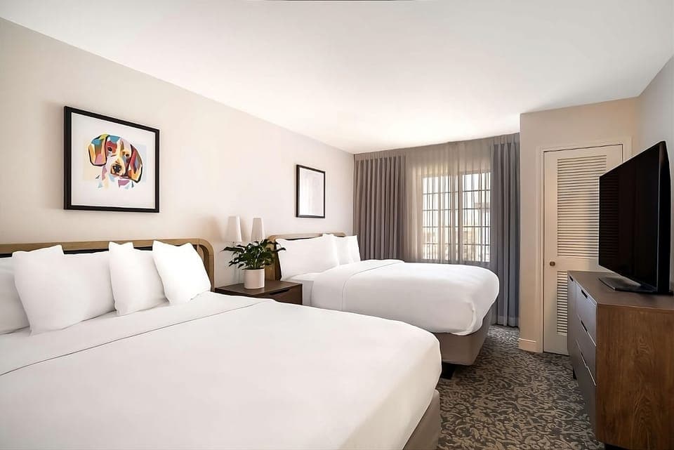 Wake up to soft daylight filtering through wide, calming curtains.