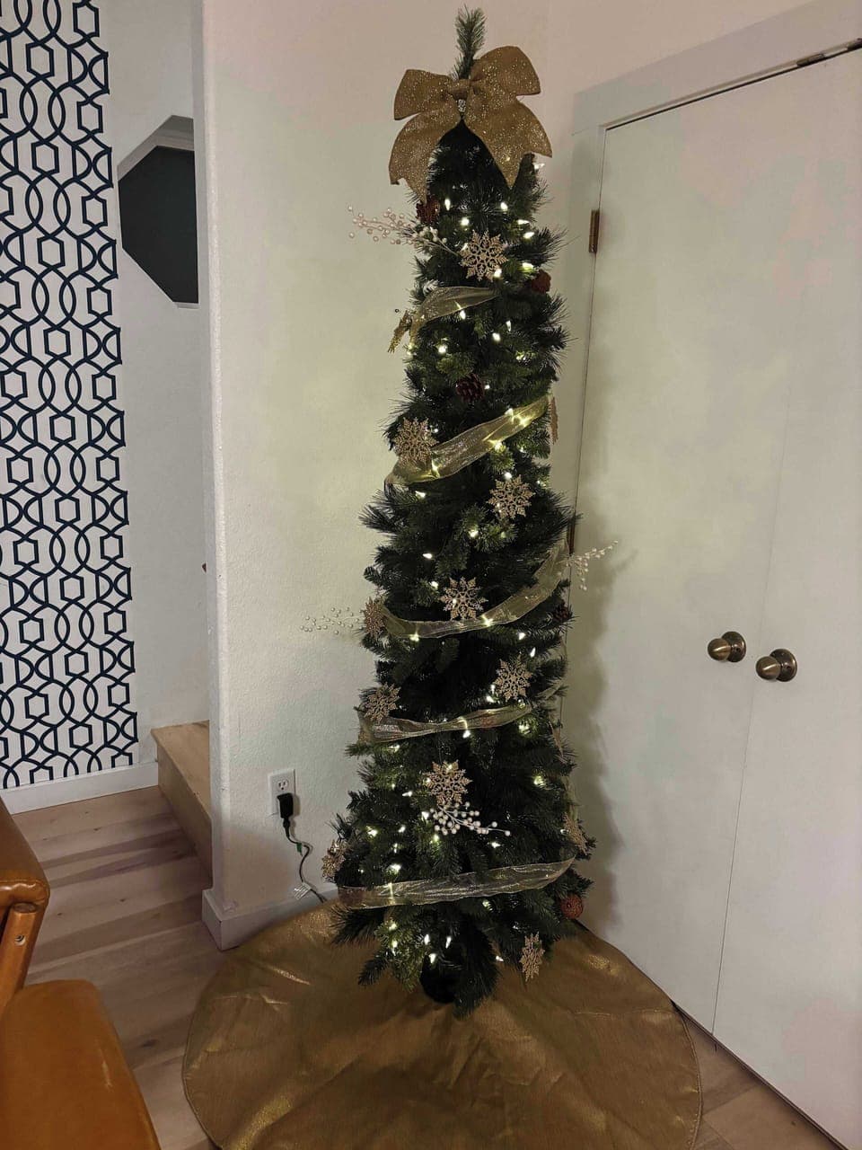 We set up Christmas trees for the holiday season!