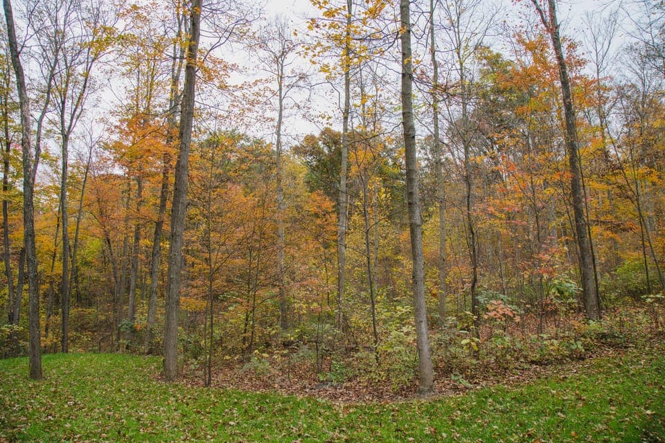 Walk down the road and connect to the Clear Fork Valley Scenic Trail (CFVST) It's a natural corridor of hiking trails located in southern Richland County.  The trail meanders through over 600 acres of nature preserves between Malabar Farm and the Richland B&O Trail. 
