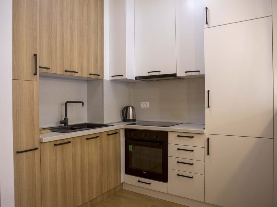 Fully equipped kitchen with stove, oven, fridge, kitchenware and dishwasher 