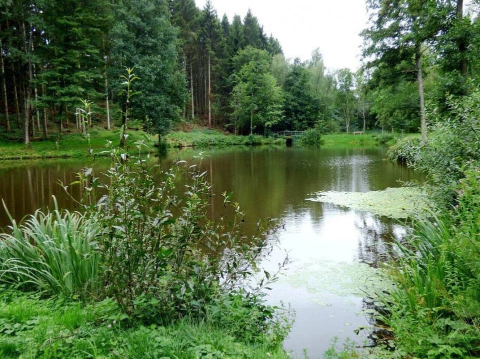 Weiher in Ohlenhard