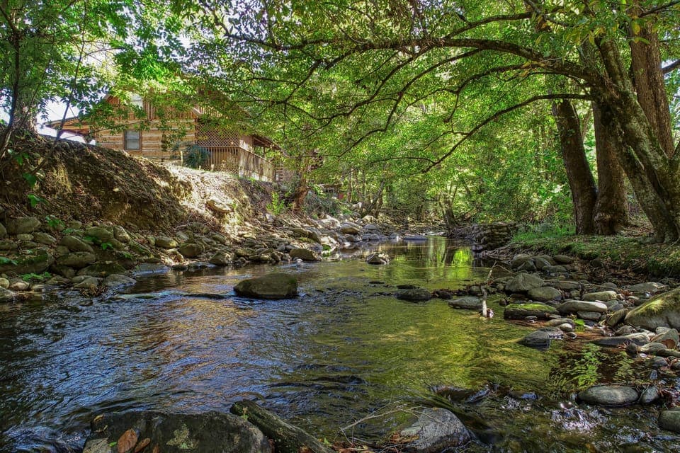 Creek View 4
