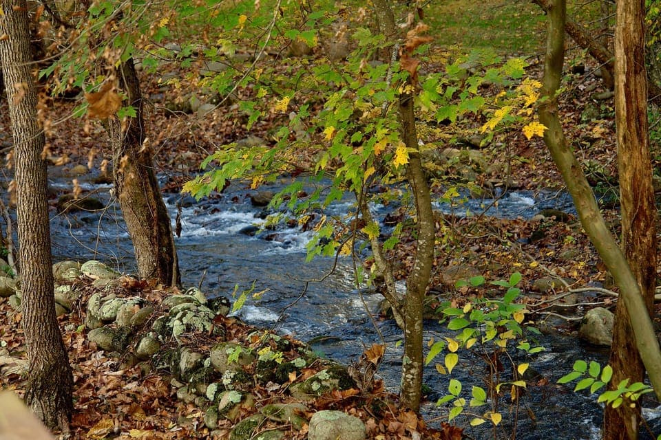 Beautiful Cosby Creek