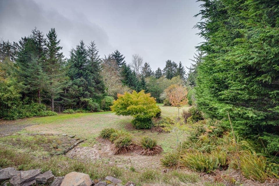 Backyard | Fruit Trees | 1 Acre